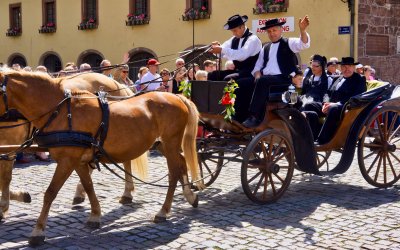 Traditionelles Pfingstfest in Wissembourg