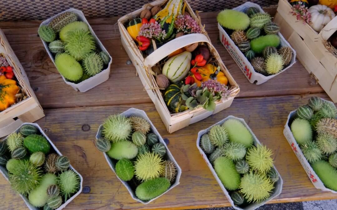 Elsässer- und Pfälzer Bio Bauernmarkt in Wissembourg