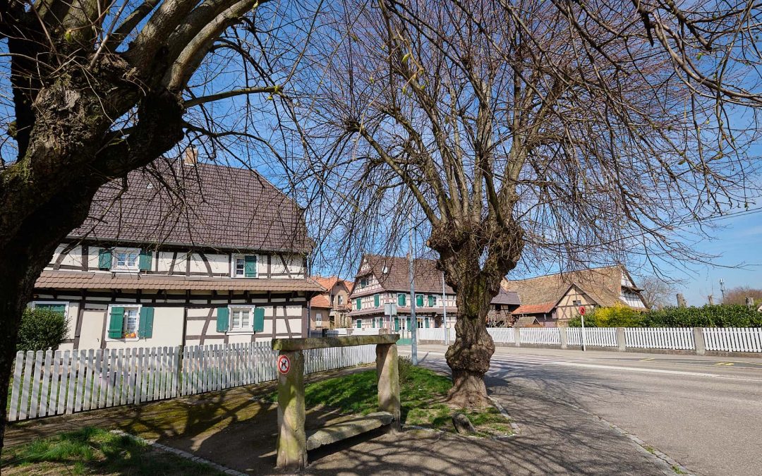 Sessenheim – ein kleiner Ort im Elsass mit Goethe Museum