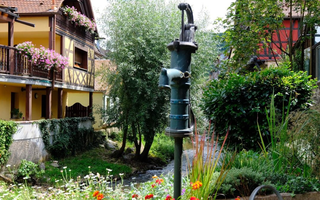 Elsässische Weinstrasse von Wissembourg nach Thann