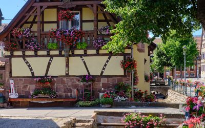 Scherwiller im Elsass | Weinort an der elsässischen Weinstrasse