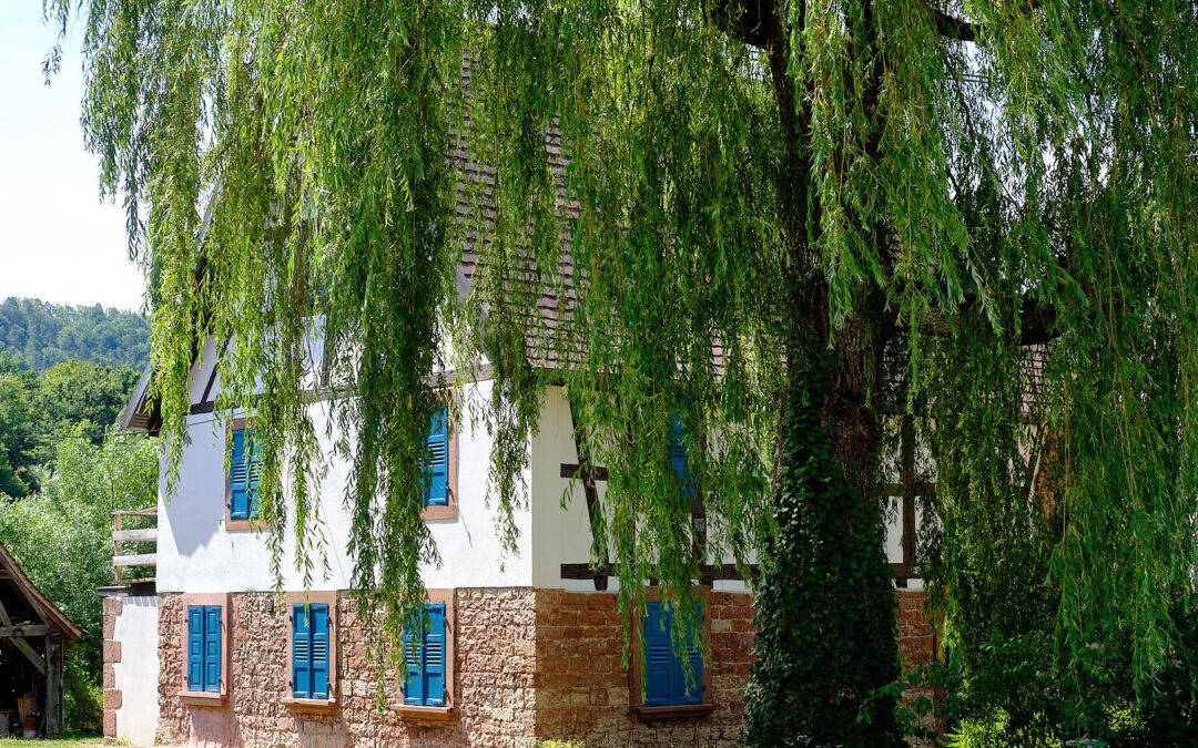 Pass Alsace – Entdecke das Elsass