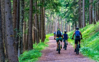 Die schönsten Fahrradrouten im Elsass