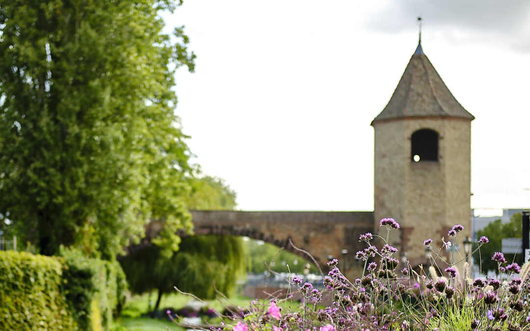 Haguenau  – Geheimtipp im Elsass